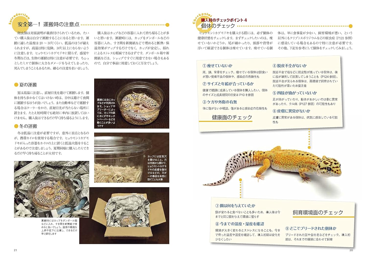 ヒョウモントカゲモドキと暮らす本 (アクアライフの本) 個体のチェック