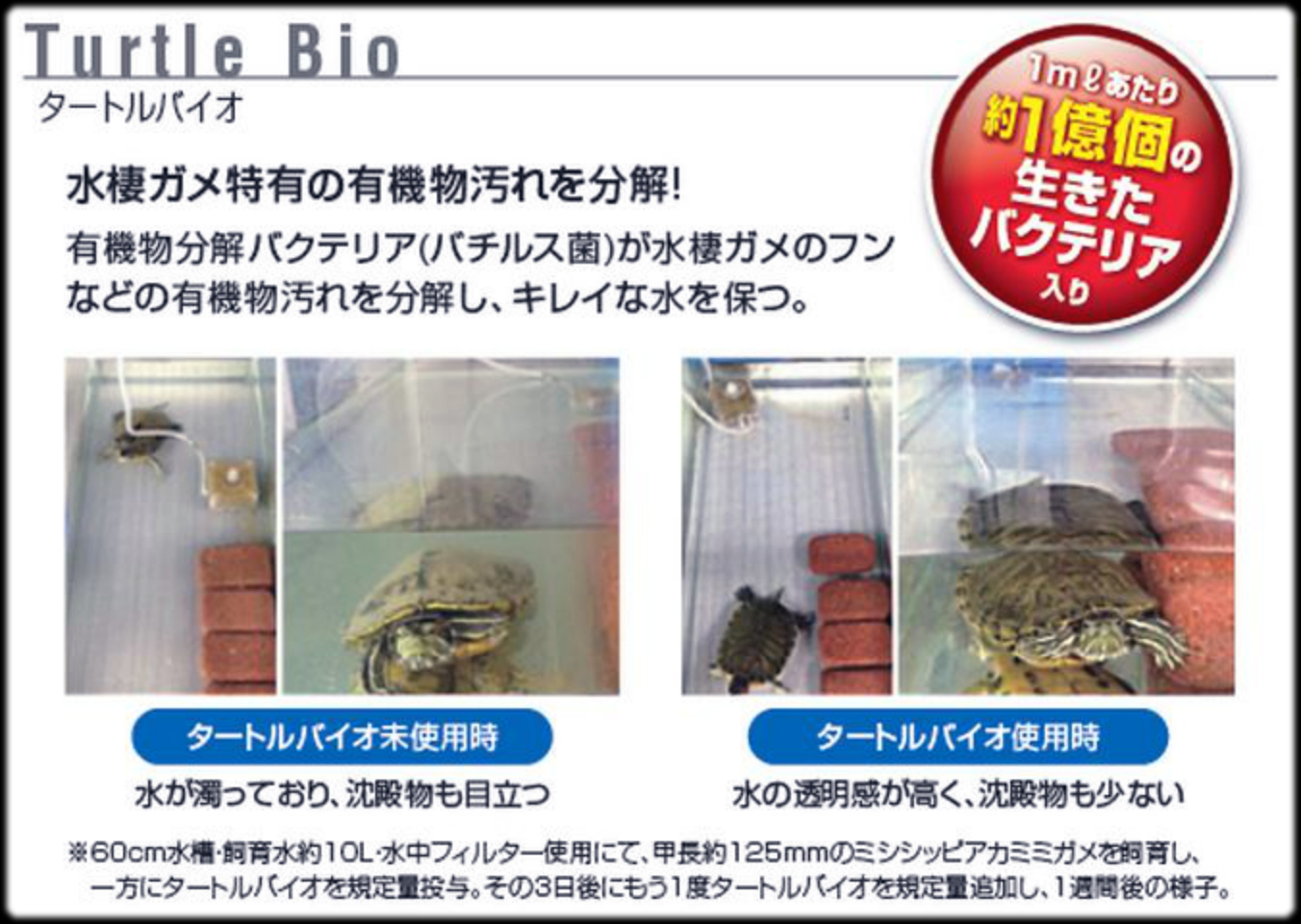 タートルバイオ GEX EXOTERRA カタログ