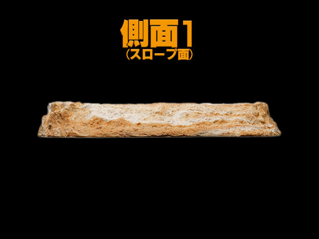 レプティボウル2LF RX-147