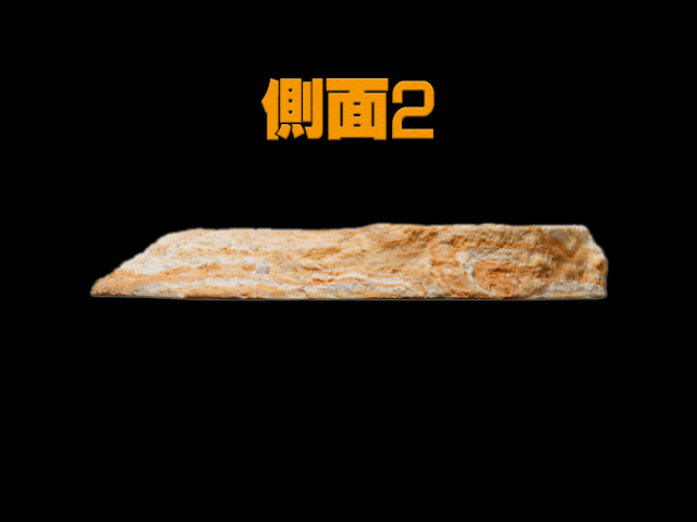 レプティボウル2LF RX-147 スドー