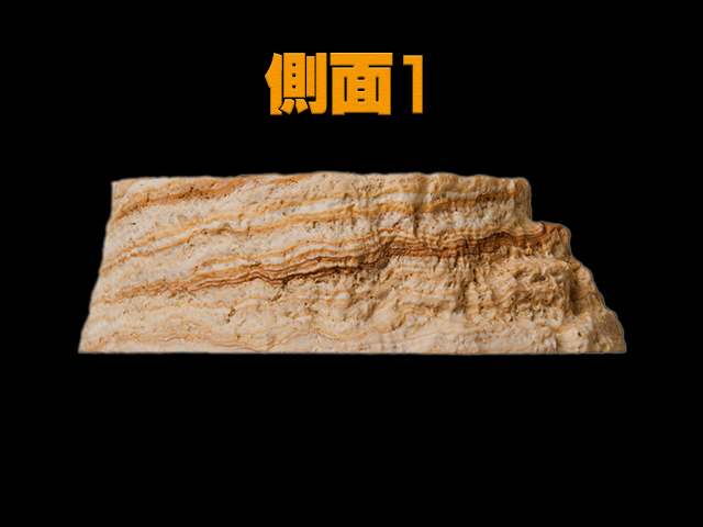 レプティボウル2SD RX-142