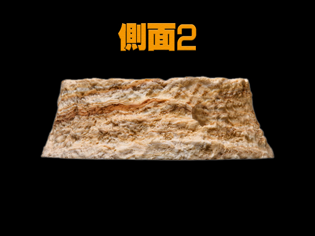 レプティボウル2SD RX-142 スドー