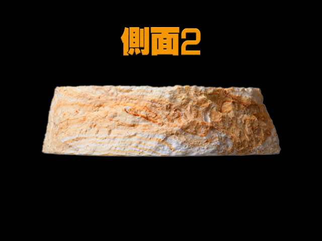 レプティボウル2LD RX-144 スドー