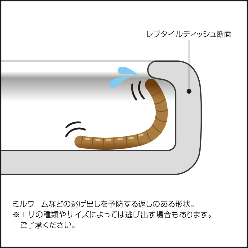 レプタイルディッシュ 返し