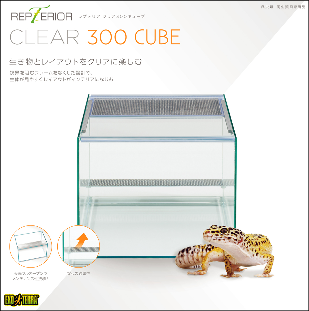 レプテリアクリア300キューブ エキゾテラ