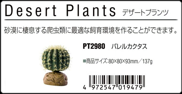 バレルカクタス エキゾテラ ジェックス
