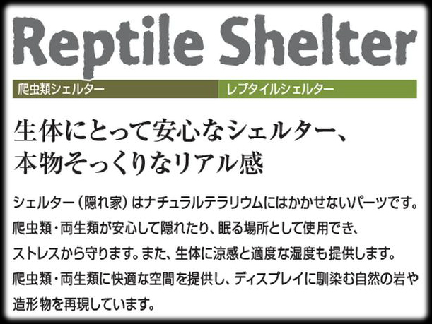 エキゾテラ　シェルター