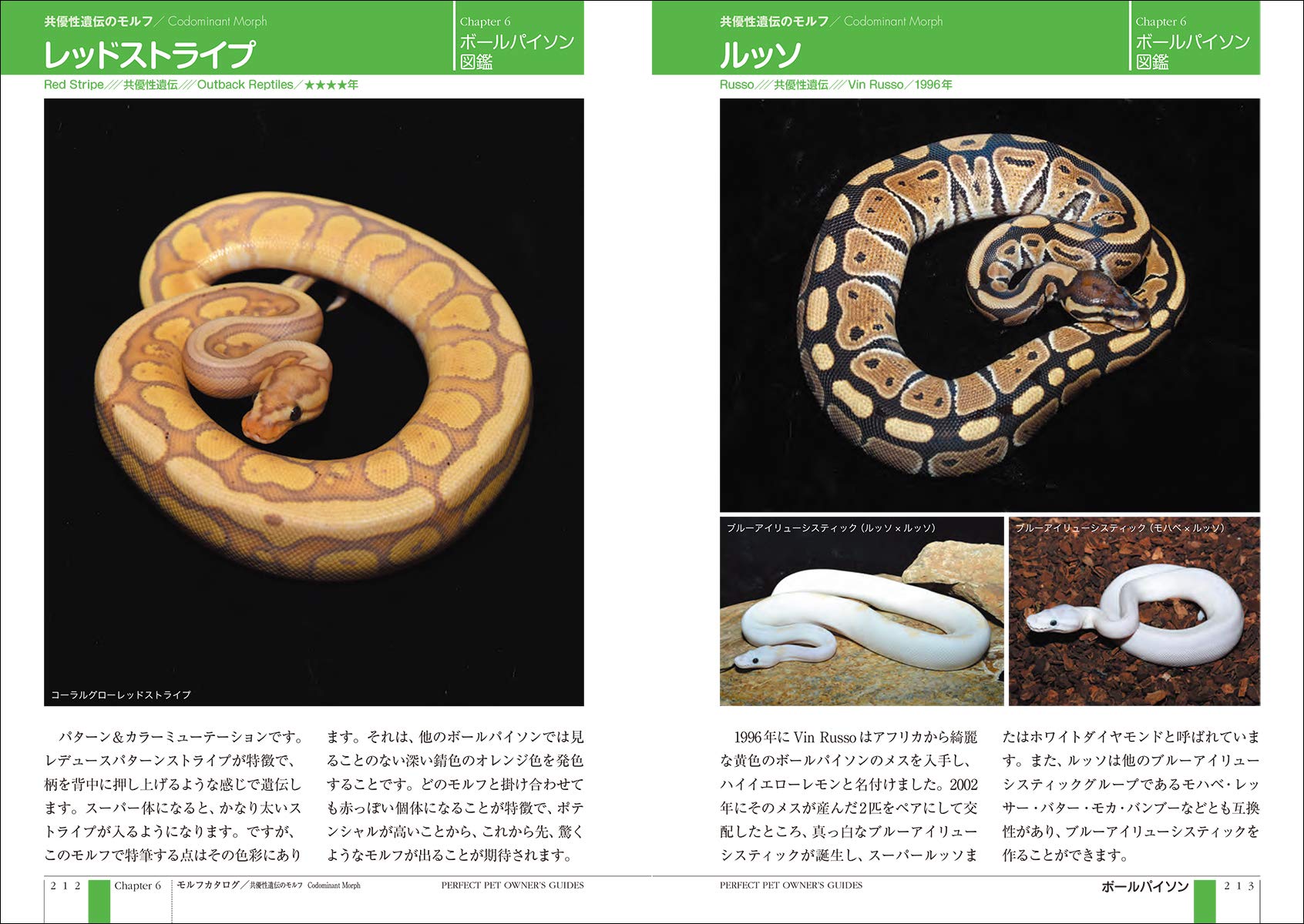 ボール 飼育