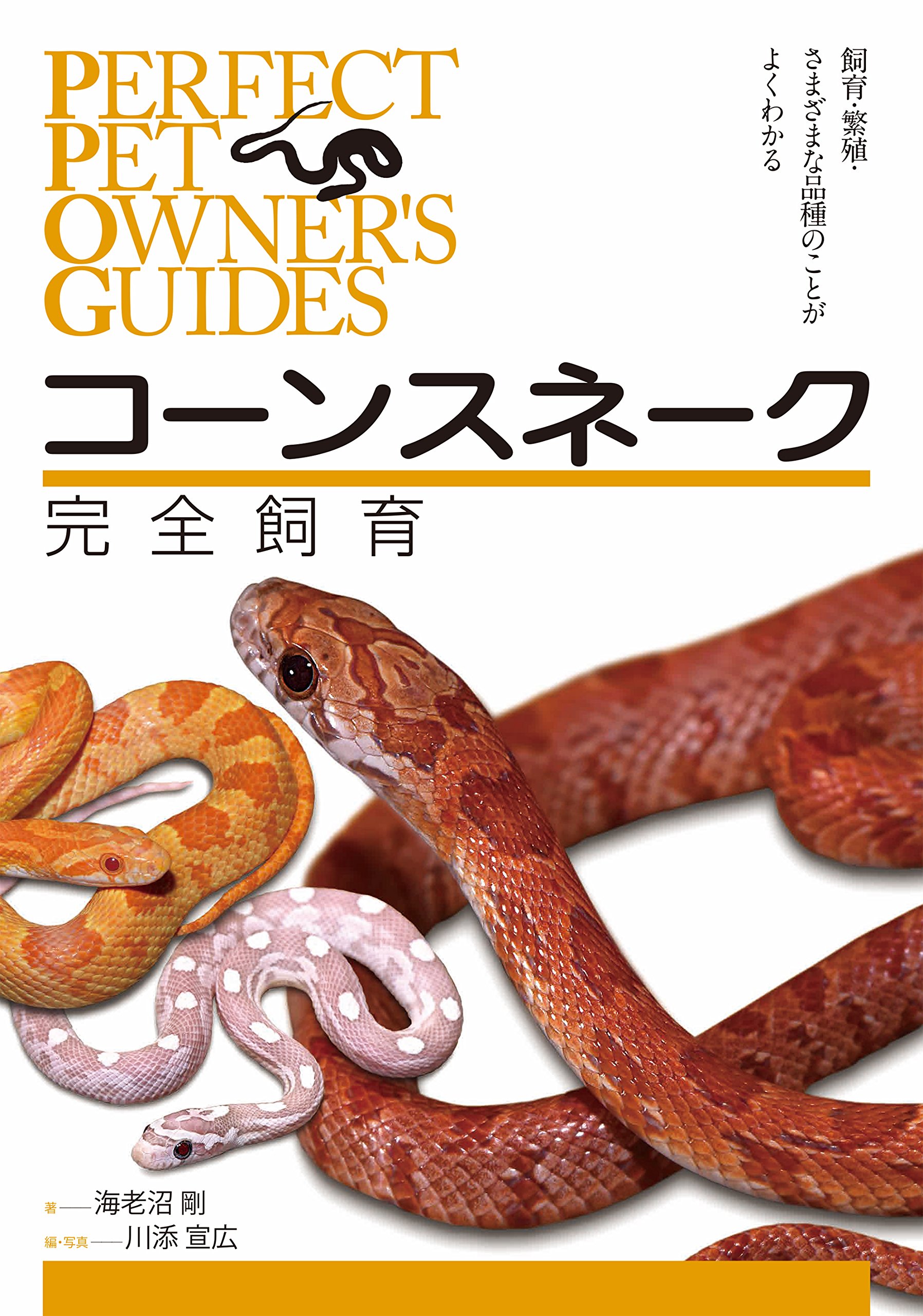コーンスネーク 完全飼育