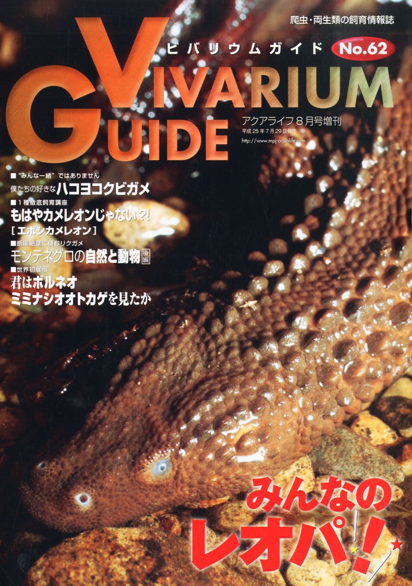 ビバガ 62号