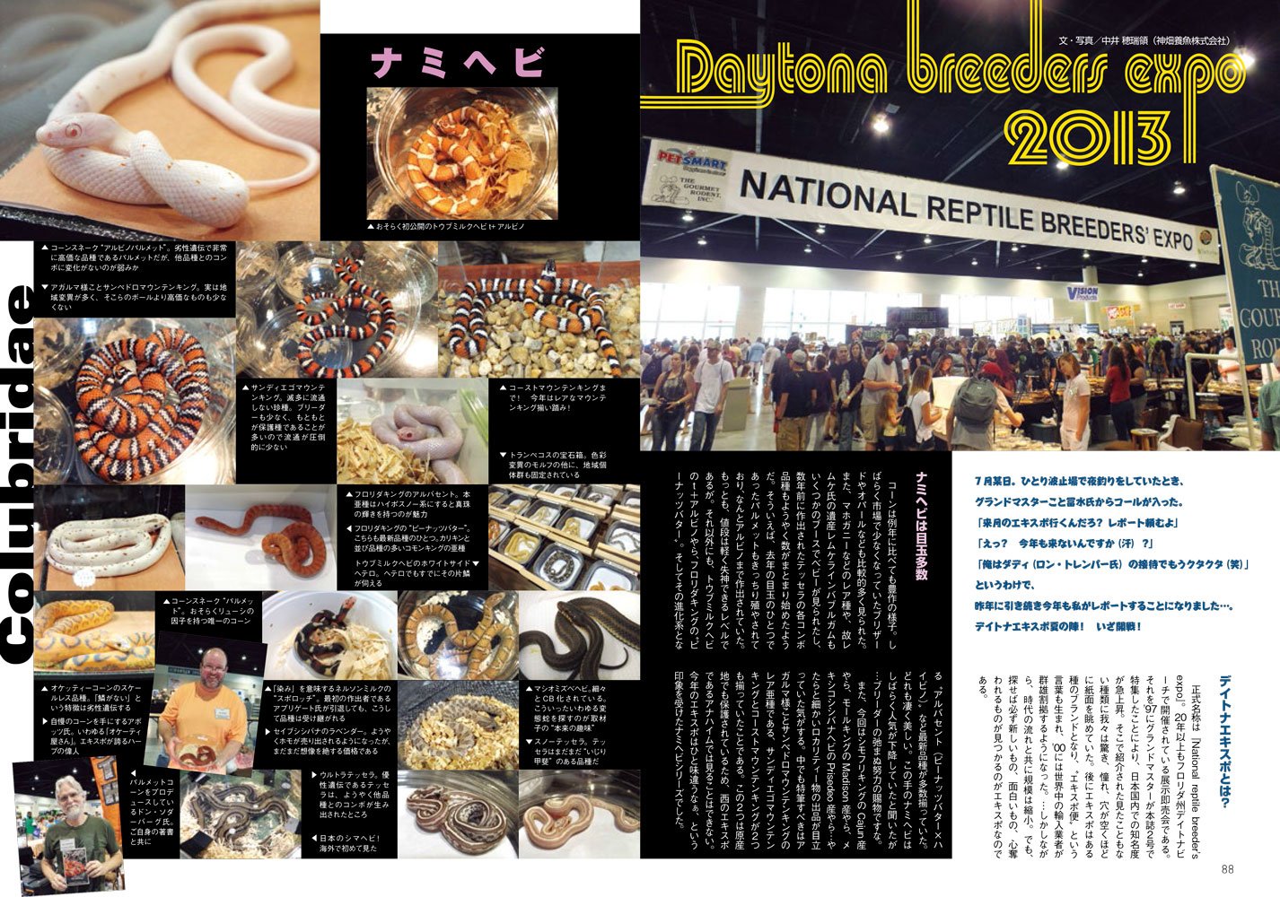 ビバリウムガイド No.63 アクアライフ11月号増刊 やもめのリクガメ