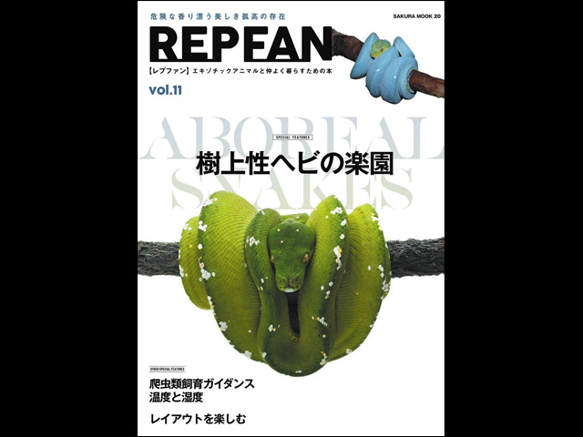 レプファン 11号