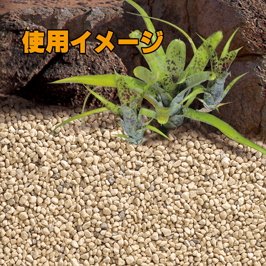デザートベース粗目3L　GEX　EXOTERRA　使用イメージ