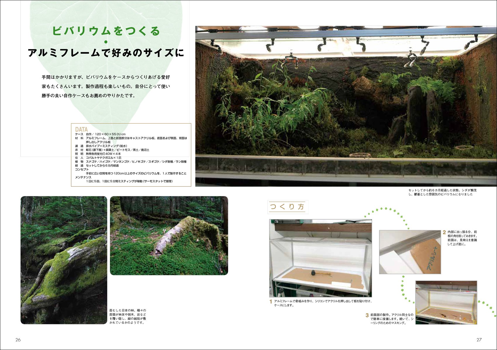 爬虫類 両生類 飼い方