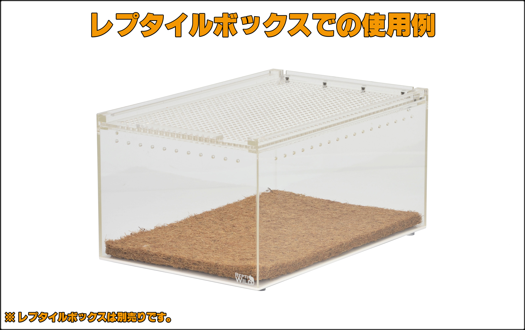 ココマット　レプタイルボックスでの使用例