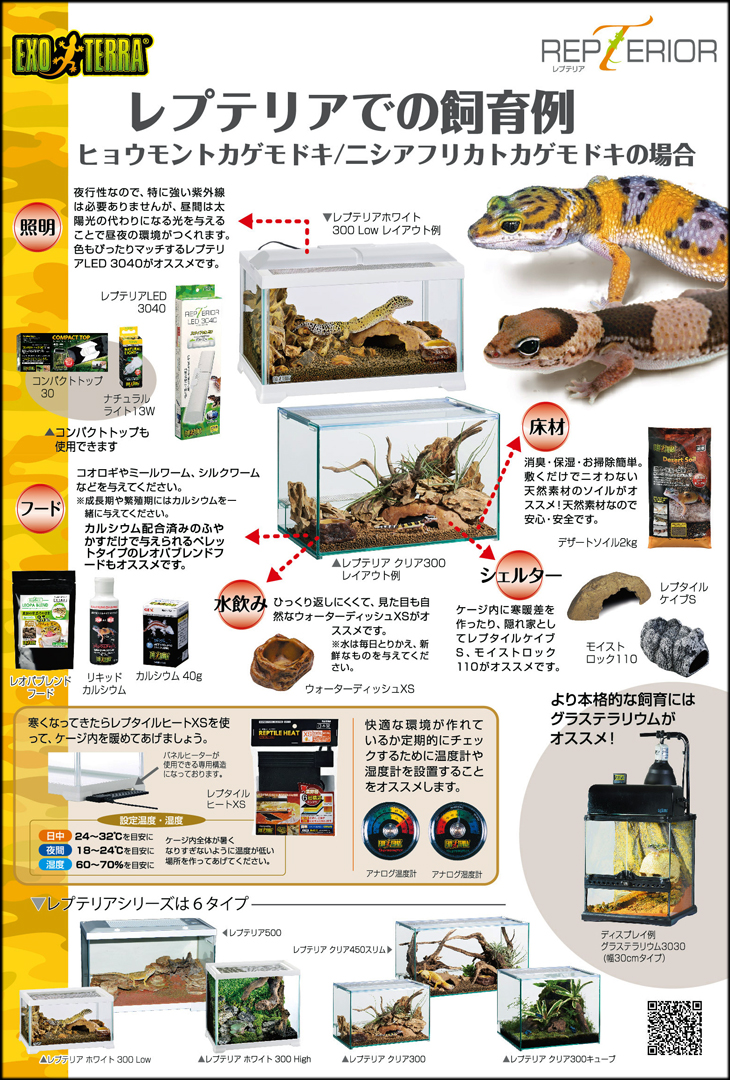 エキゾテラ レプテリア ヒョウモントカゲモドキ/ニシアフリカトカゲモドキの飼育例