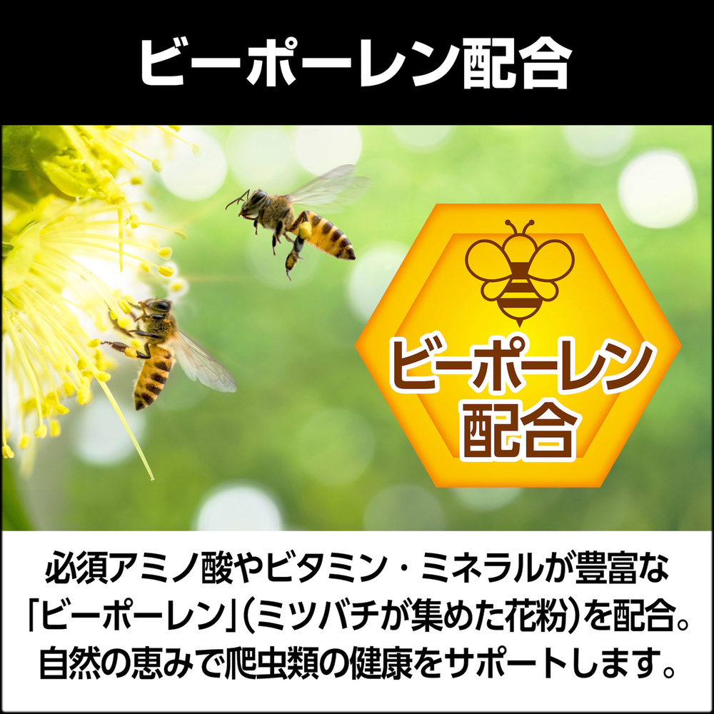 カルシウムペースト乳酸菌プラス　ビーポーレン配合