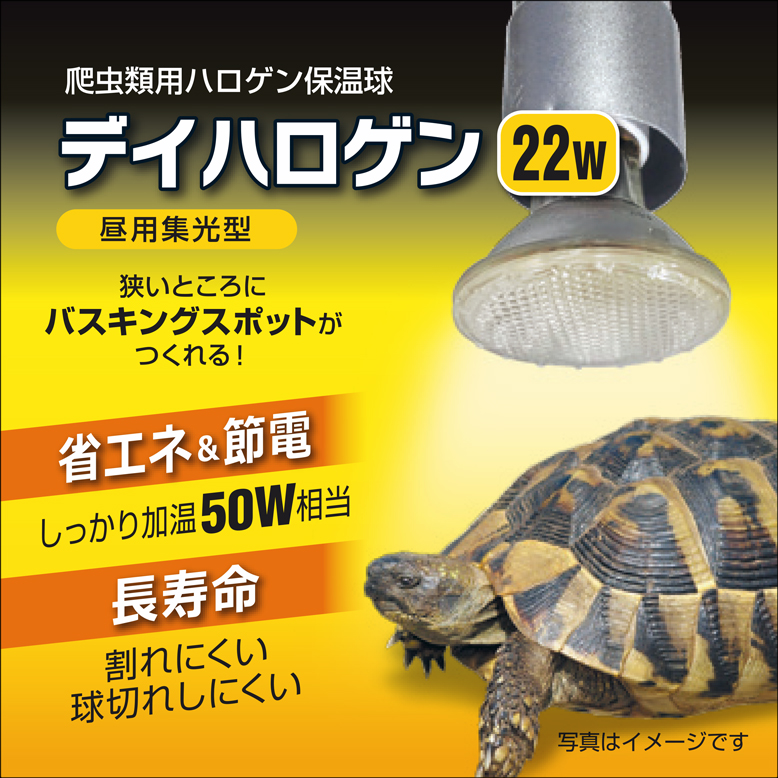 デイハロゲン22W　パッケージ上面