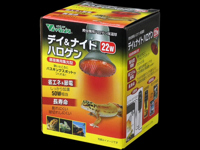 デイ&ナイトハロゲン22