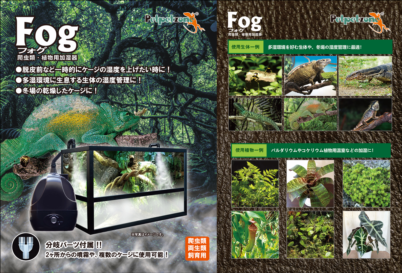 Fog (フォグ)　ゼンスイ　パッケージ正面