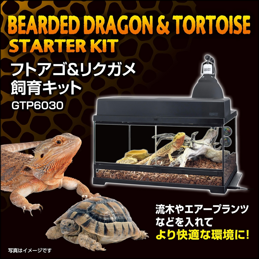 フトアゴ&リクガメ飼育キットGTP6030　ジェックス　エキゾテラ