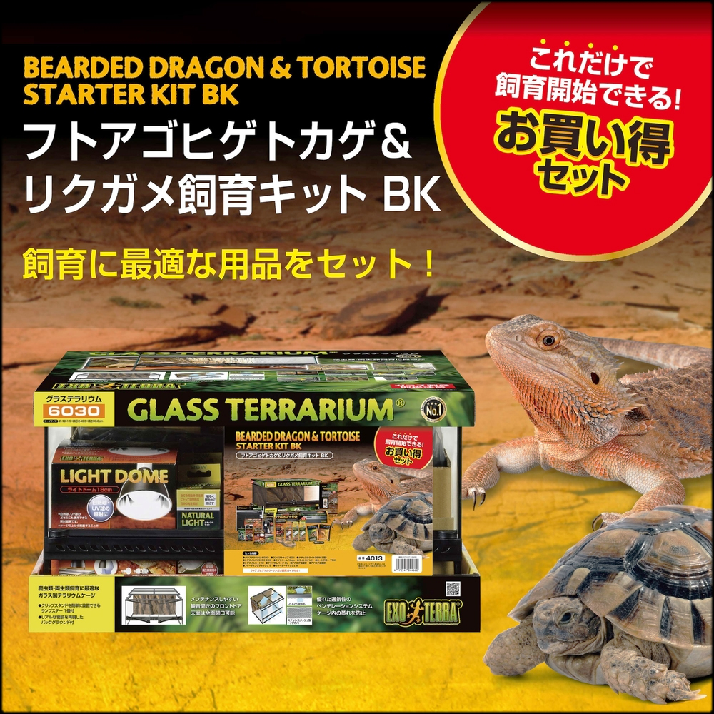 フトアゴヒゲトカゲ＆リクガメ飼育キットBK　　ジェックス　エキゾテラ