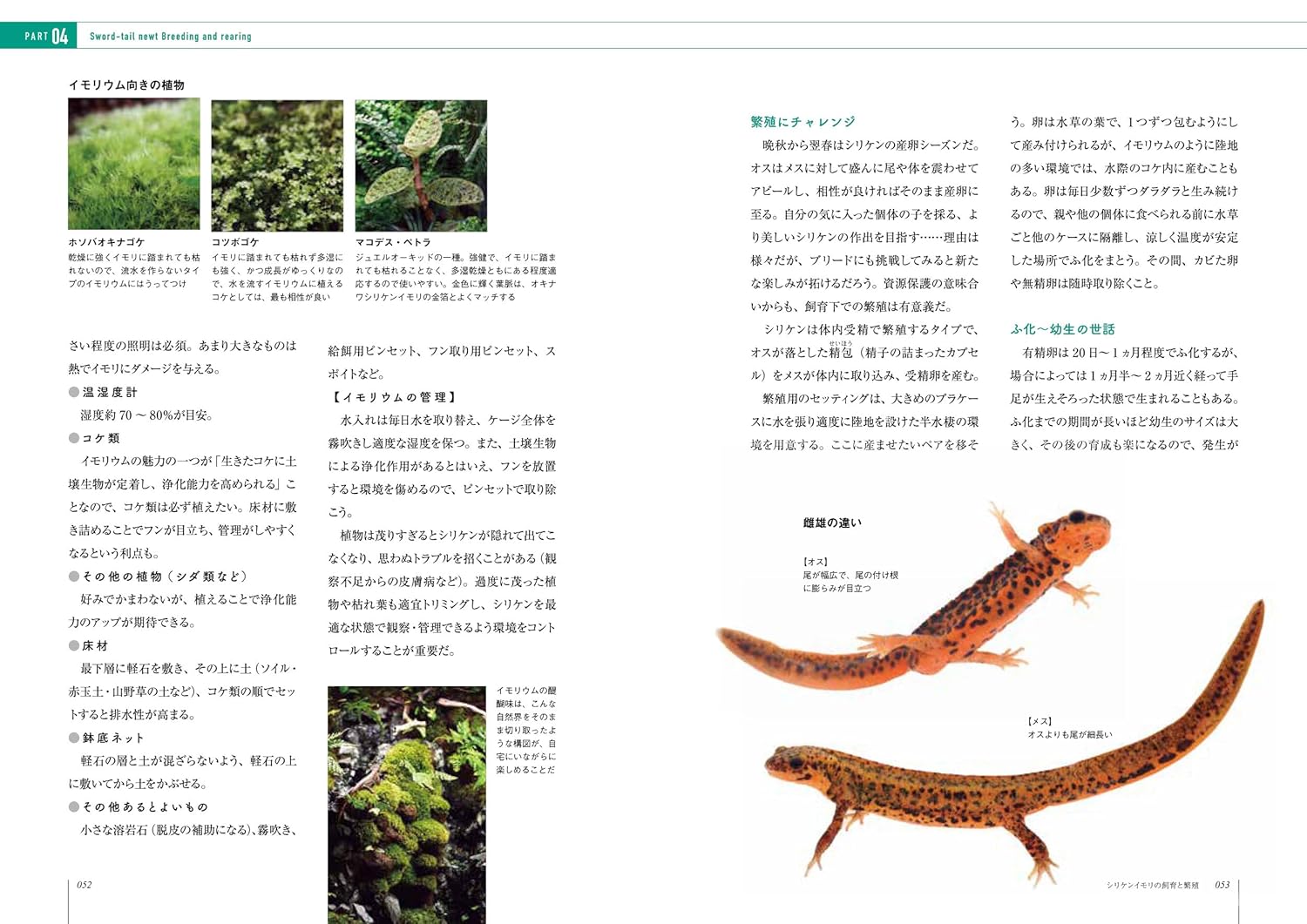 イモリと暮らす本 イモリウム
