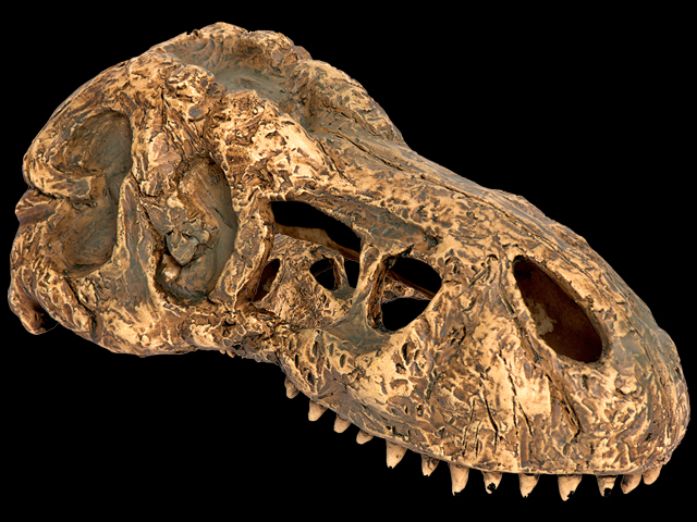 T-REXスカル スカルシリーズ