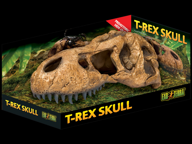 T-REXスカル スカルシリーズ エキゾテラ