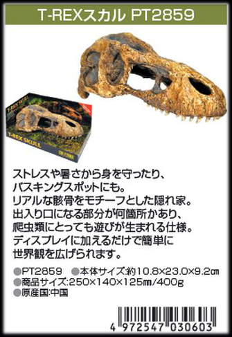 T-REXスカル スカルシリーズ エキゾテラ ジェックス