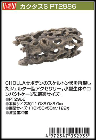 カクタスS エキゾテラ ジェックス