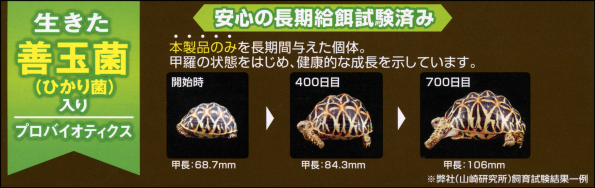 リックゼリー 長期給餌試験個体一例