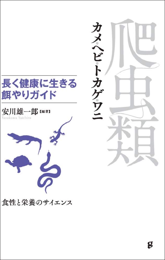 爬虫類 飼育