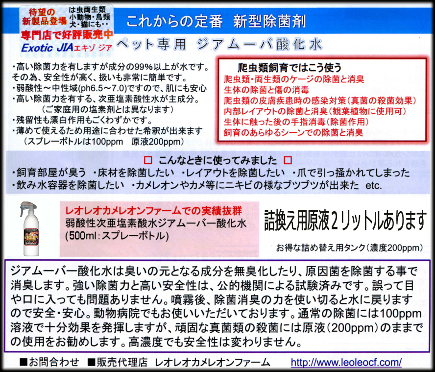 エキゾジア 商品詳細