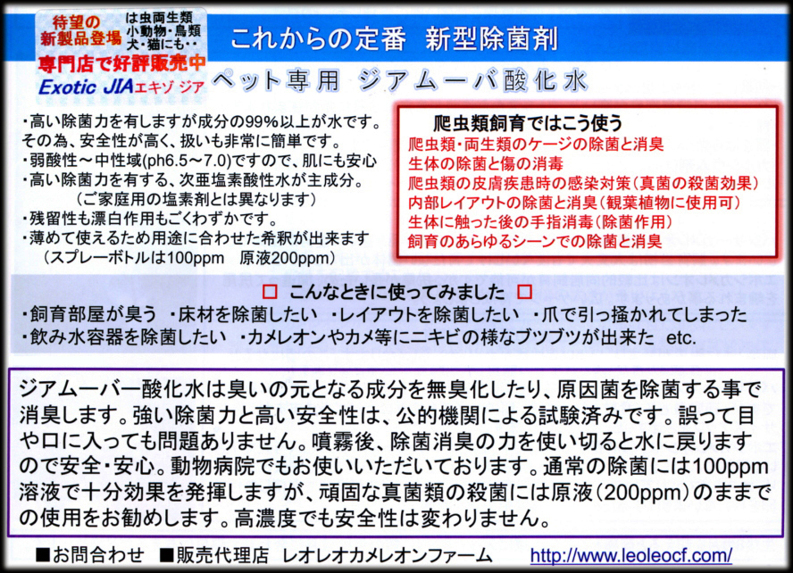 エキゾジア 商品詳細