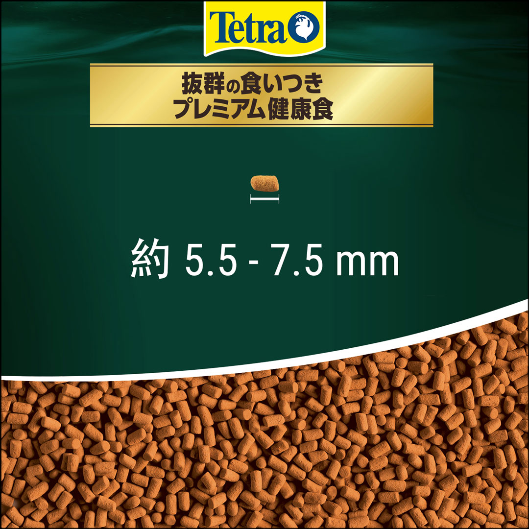 テトラレプトミンスーパー中粒　粒の大きさ