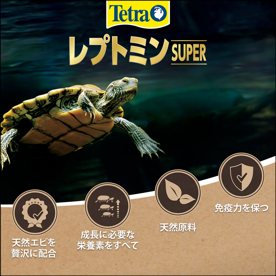 テトラレプトミンスーパー　Tetra