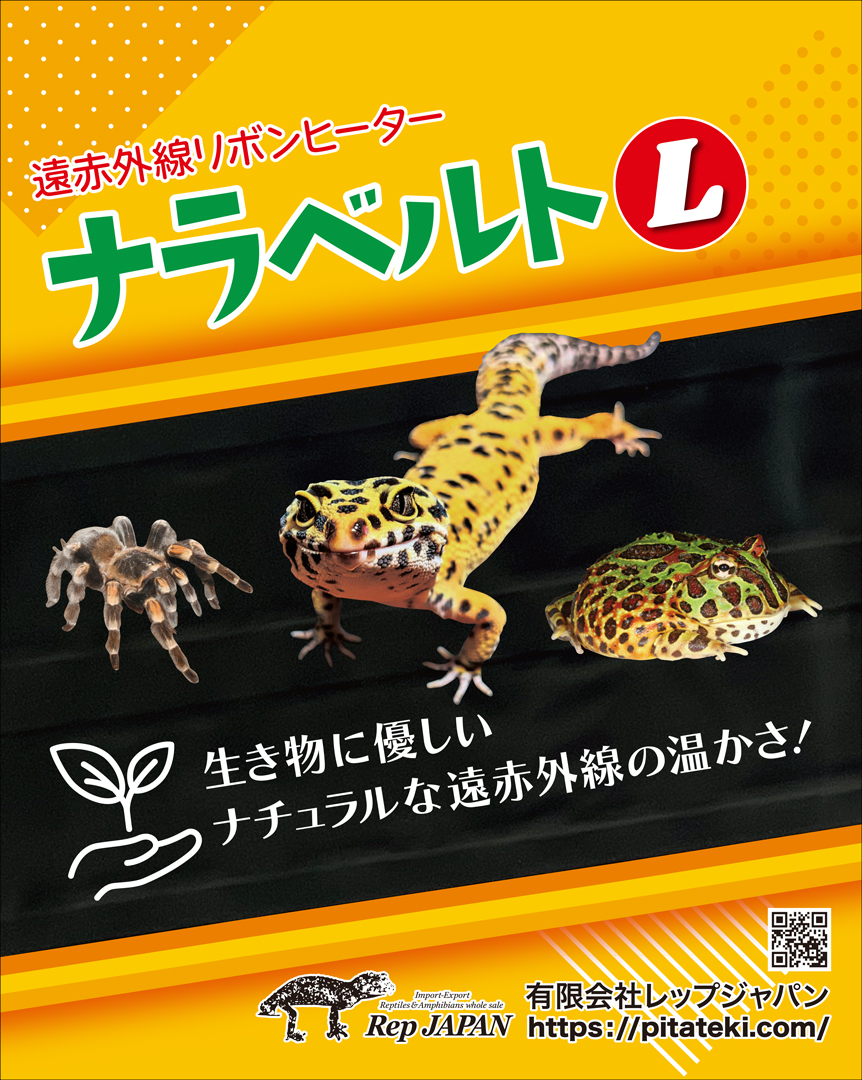 ナラベルトL　元みどり商会ナラベルト大