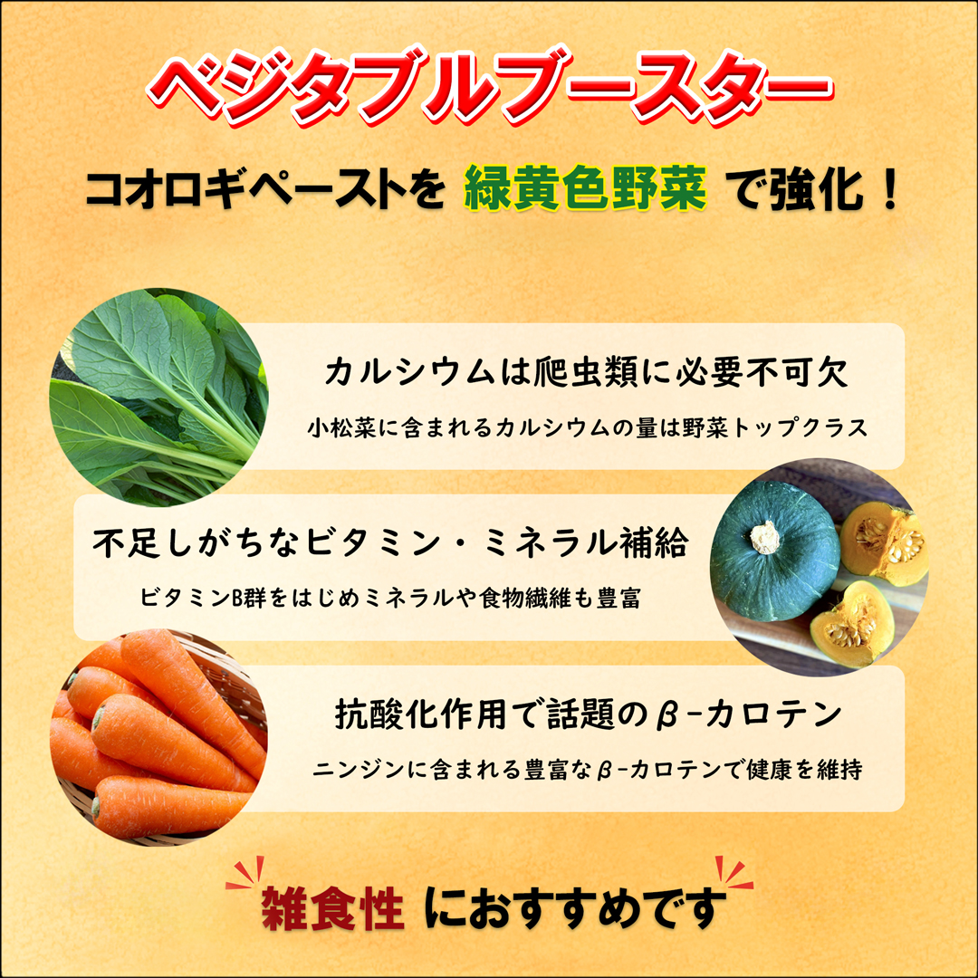 コオロギペースト緑黄色野菜ベジタブルブースター 雑食性爬虫類におすすめ