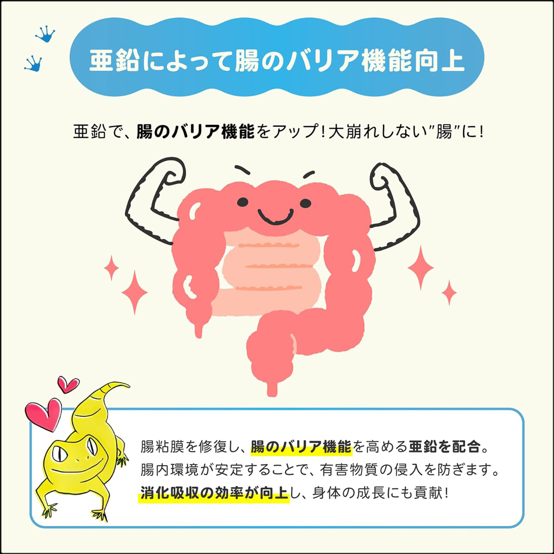 レプケア30g 腸のバリア機能