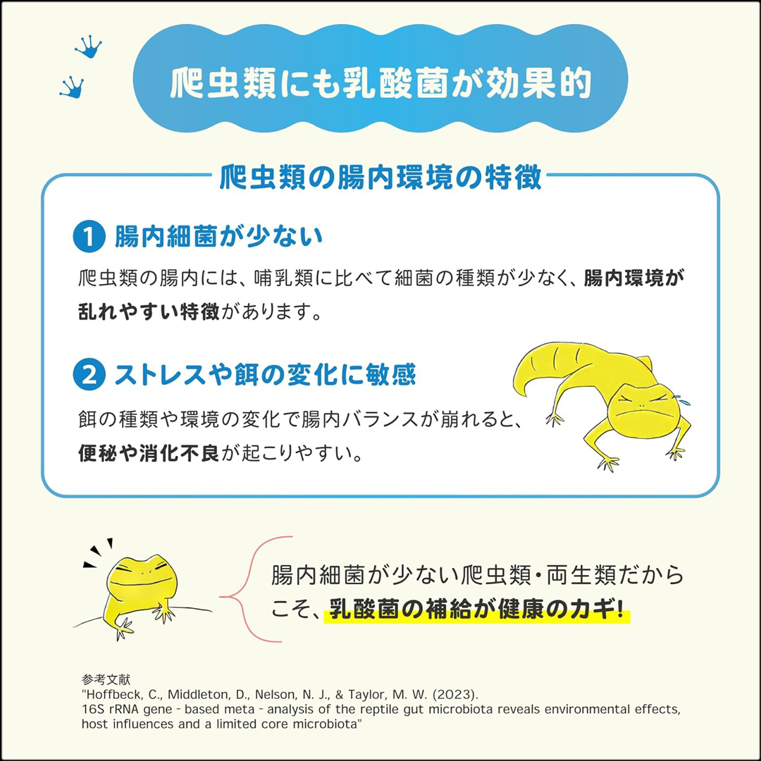 レプケア30g 乳酸菌