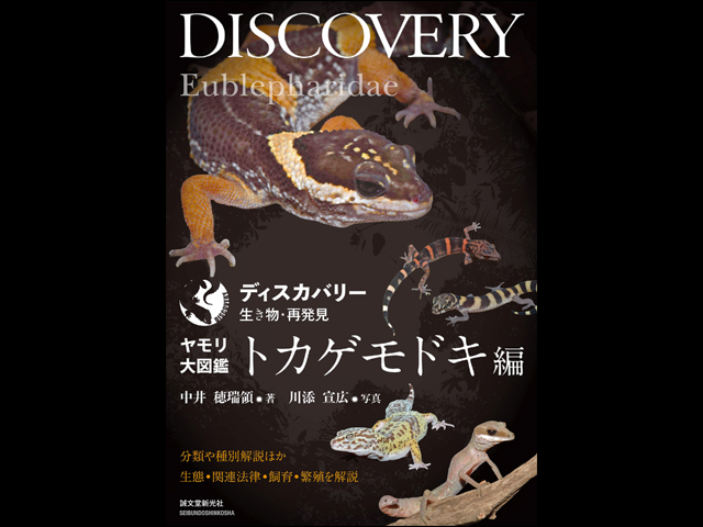 ヤモリ大図鑑 トカゲモドキ編　ディスカバリー 生き物・再発見