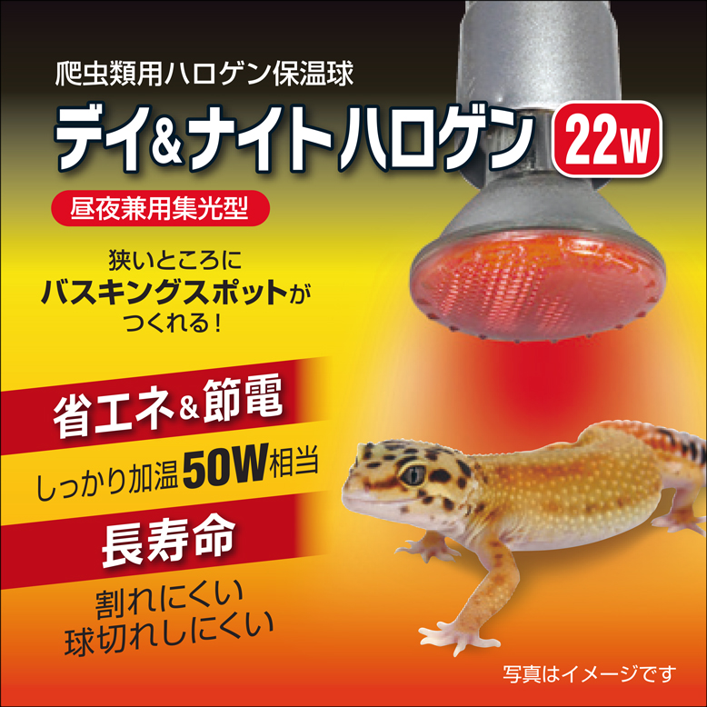 デイ&ナイトハロゲン22W　パッケージ上面