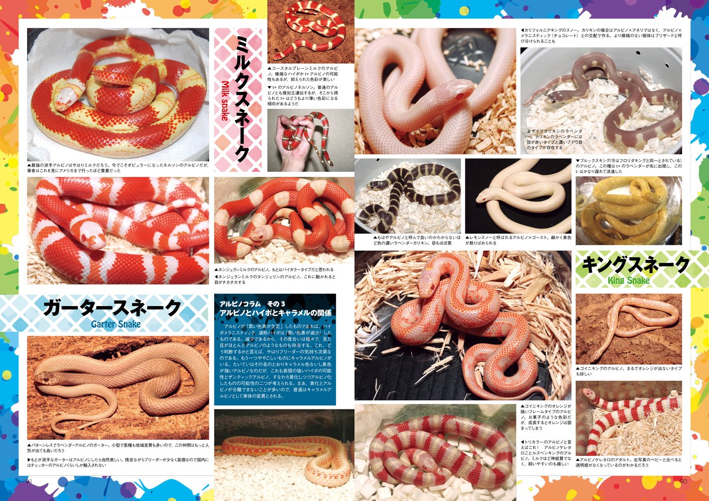 ビバリウムガイド No.80 2018年春号 レオパことはじめ