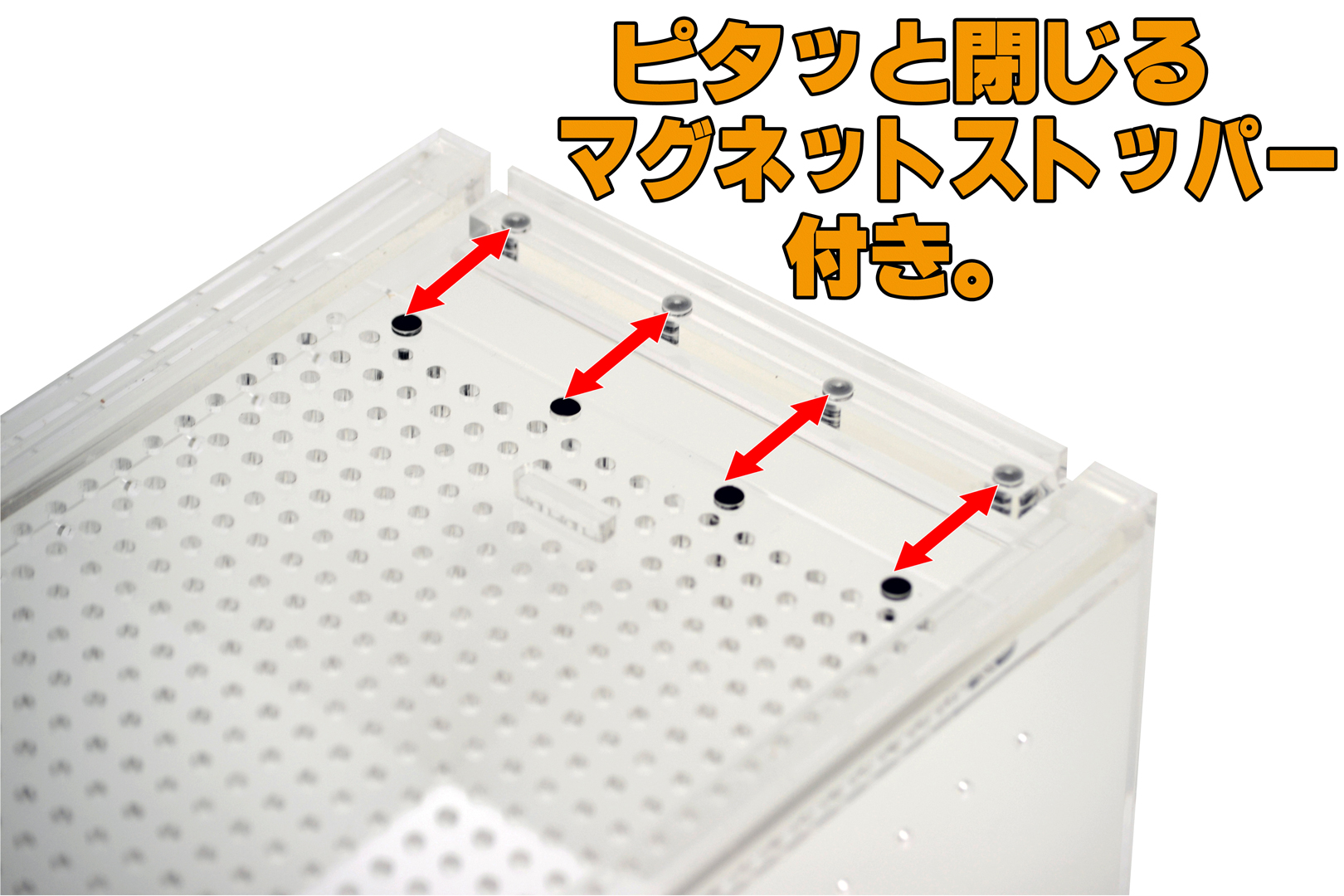 レプタイルボックスハーフ　マグネットストッパー付