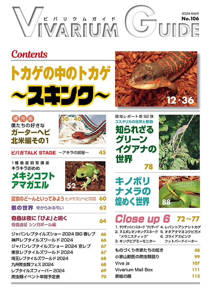 ビバガ 目次