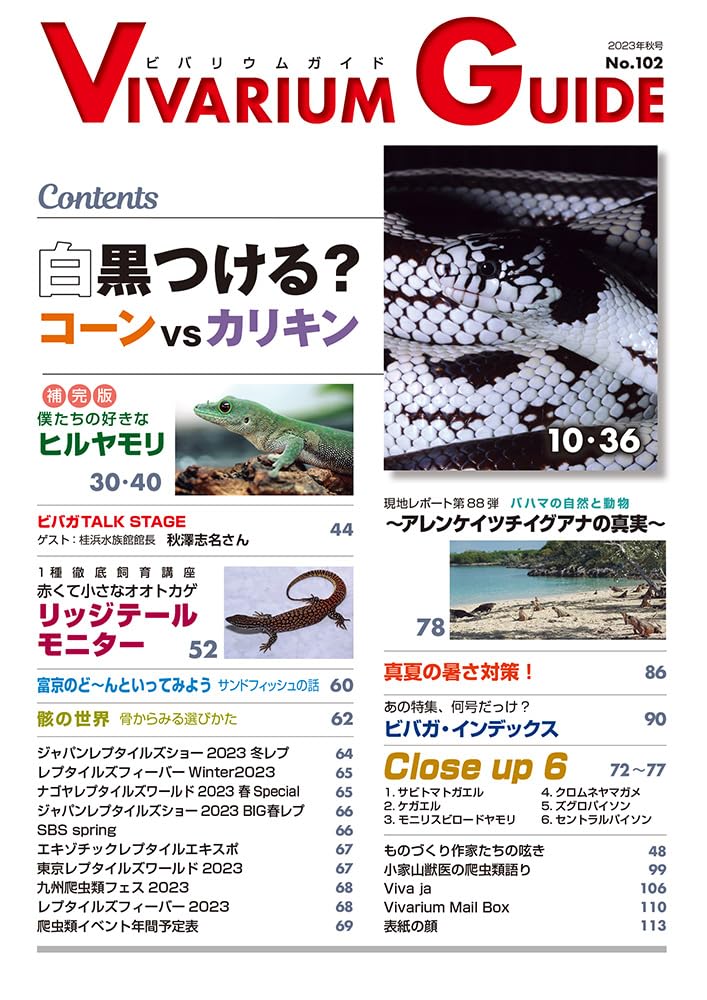 白黒つける?