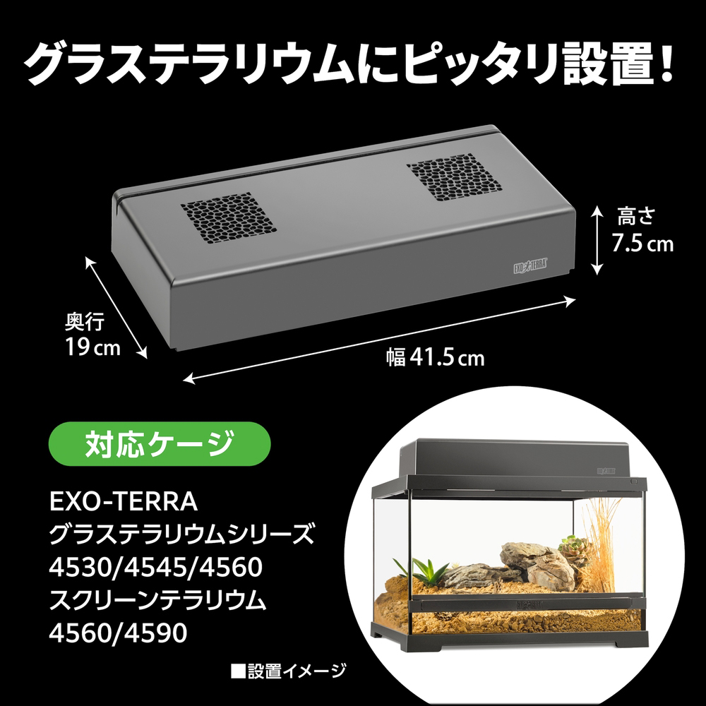 コンパクトトップ45N　エキゾテラ
