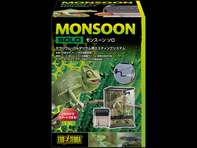 モンスーンソロ