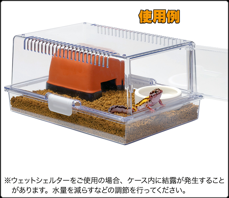 レプティギア365　ウエットシェルター　レプタイルディッシュ　レオパ飼育例